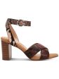 ALFANI Womens Brown Snake Print Crisscross Straps Cushioned Ankle Strap Irinna Square Toe Block Heel Buckle Sandals Shoes M Online Sale